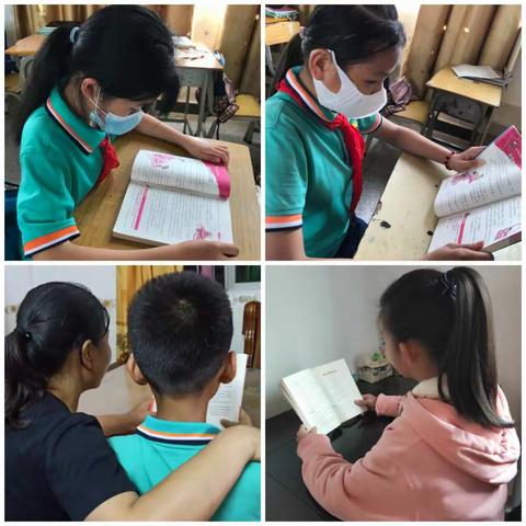 遨游书海，“数”你有趣 ——记鳌头镇中心小学数学科读书活动