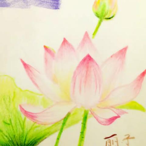 自弹《君心似莲》😊