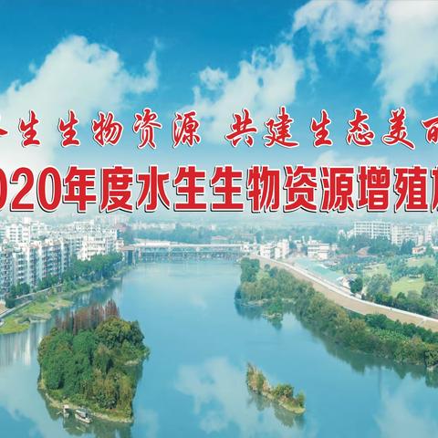 白云区2020年水生生物资源增殖放流活动