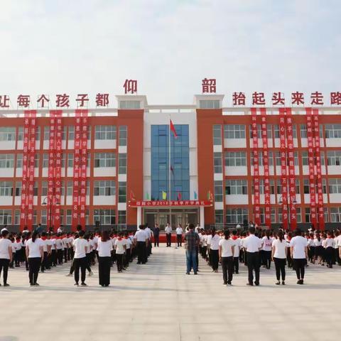 【能力作风建设年】春暖花开会有时，线上共学战疫情——仰韶小学线上教学工作纪实