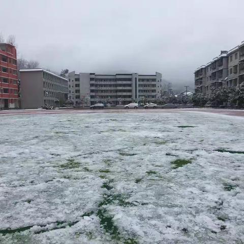 乌罗镇中学校园雪中景