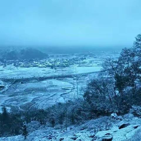 乌罗❄️初雪