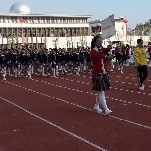 梨树园小学在珠山区第十届中小学生冬季运动会上大放异彩！