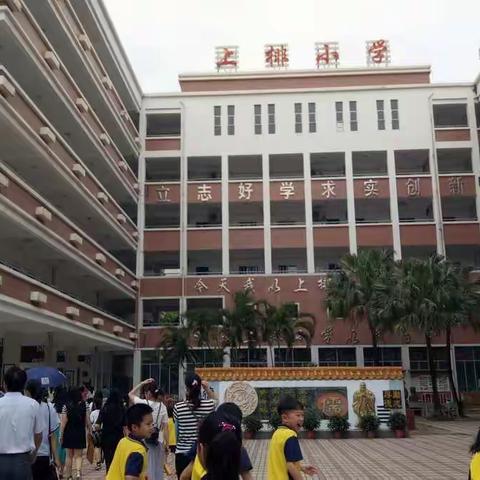 学习名师经验，提高专业素质