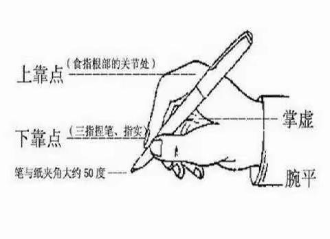 一笔一划，书写充实暑假                                          ——晓义小学暑期硬笔书法展示