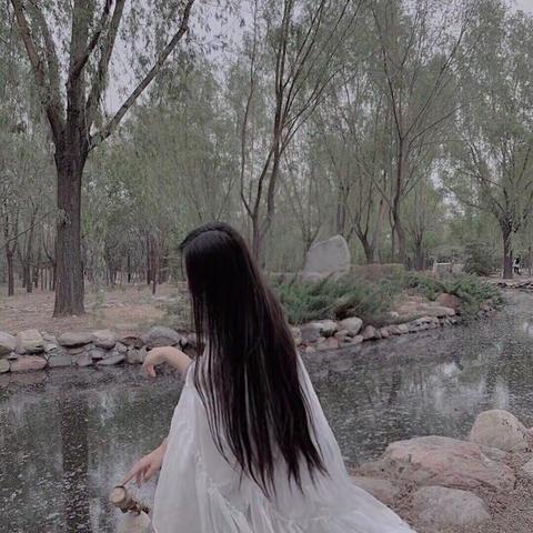 吉祥宝贝🌟✨的美篇