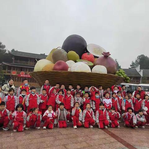 松桃县实验小学一（7）班秋季研学活动