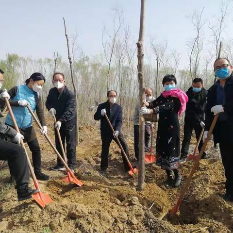 植树造林、绿化环境制锦市街道政协联络室积极组织辖区委员义务植树