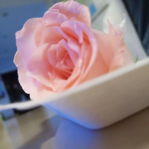 “二六班感恩活动——母亲节之六”