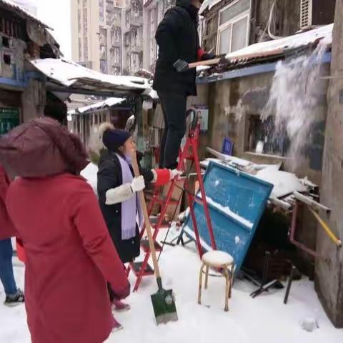 雪冷     人暖    奉献爱