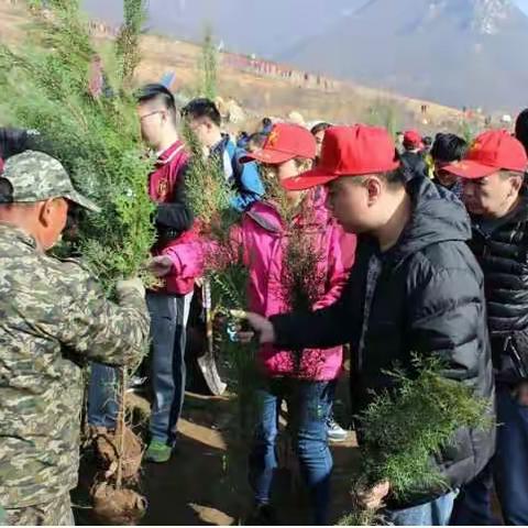 践行十九大精神 争做植绿小能手