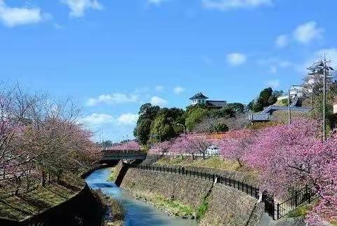 慕名而游的挂川市