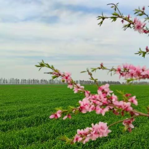 把绿色发展写在农场大地上