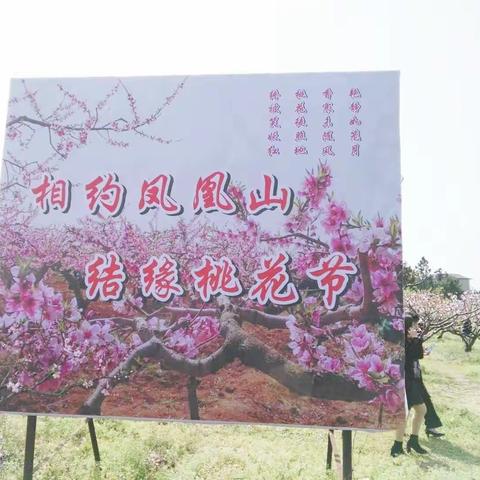 相约凤凰山桃花园