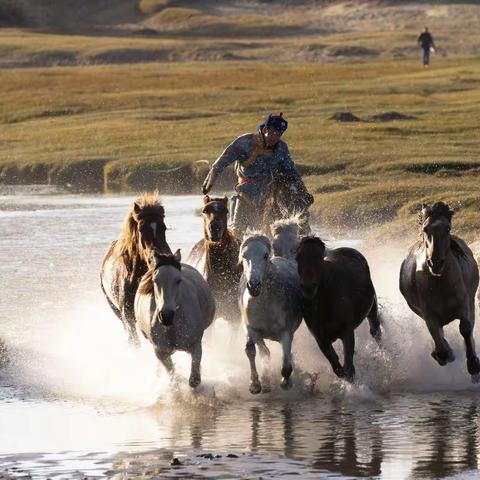 大家影尚【姐疯杯】修图大赛作品