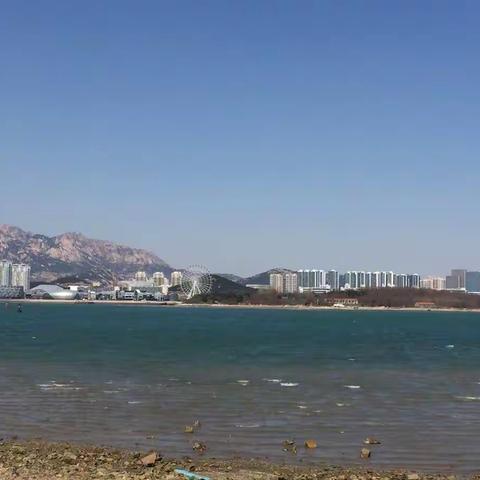 唐岛公园风景