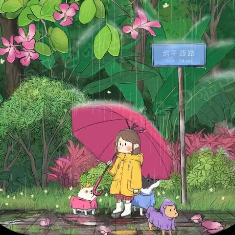 雨