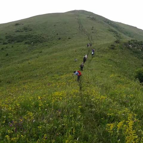 崇礼汗海梁穿越，行走高山草甸