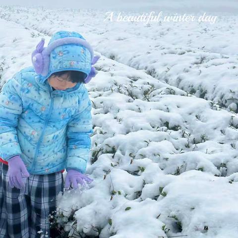 李唐果的假期分享//烟花白雪入江南，回春意暖。