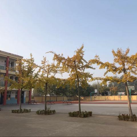 您的“非常满意”，我们更加努力！——张范北于小学邀请您代言！