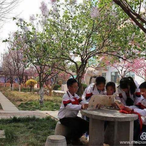 【莒县六小】道阻且长  行则将至——青年教师成长论坛业务提升篇