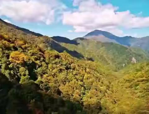 千阳大肉泡