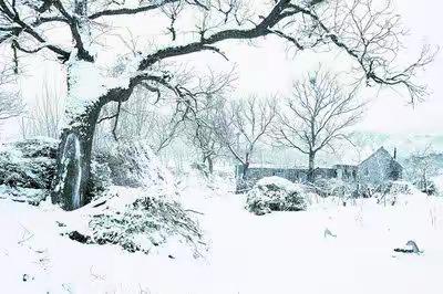 雪花  炉火  暖冬