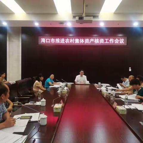 龙卫东副市长召开市政府专题会议加快推进农村集体产权制度改革清产核资工作