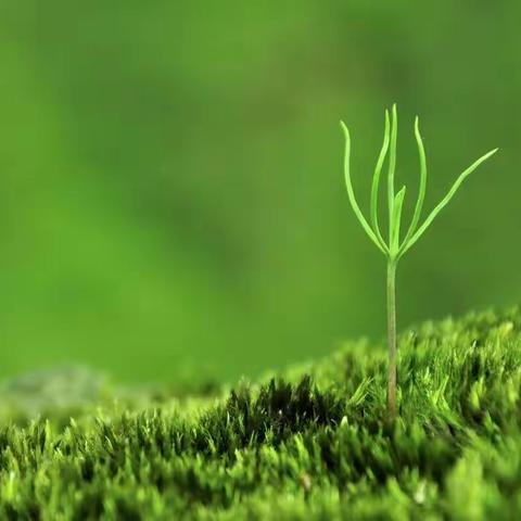 可爱的“六一”儿童节