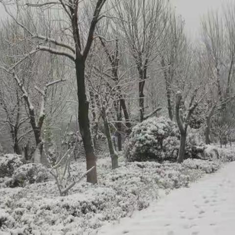 世人都晓神仙好