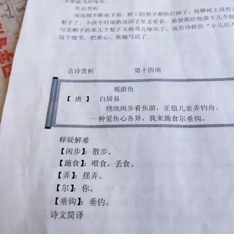 浸润书香，传承经典