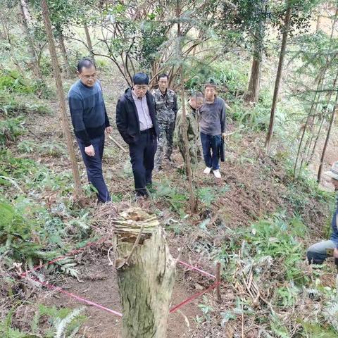 市林业局领导莅临明溪指导森林防火工作