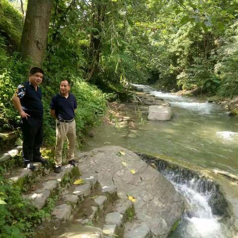 九峰镇加大秦岭北麓河道环境治理工作记实