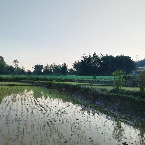 身心愉悦 🔆🌻积极向上🏃🏃‍♂️