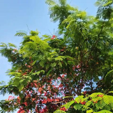 余生有限🌛光阴很贵🔆🔅