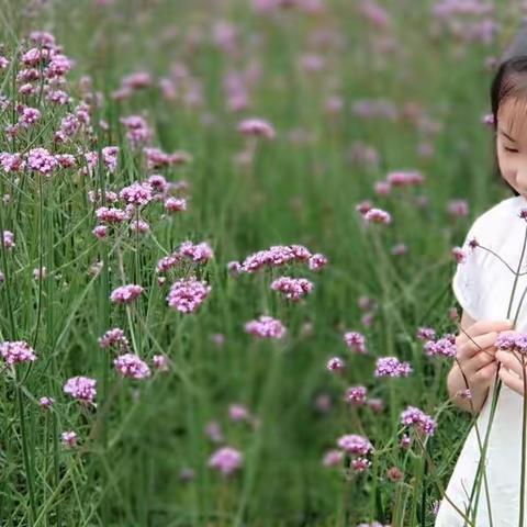 小脚印中队十周岁献礼之“牛年牛娃”专栏【2】：努力前行的“小蜗牛”顾锦萱