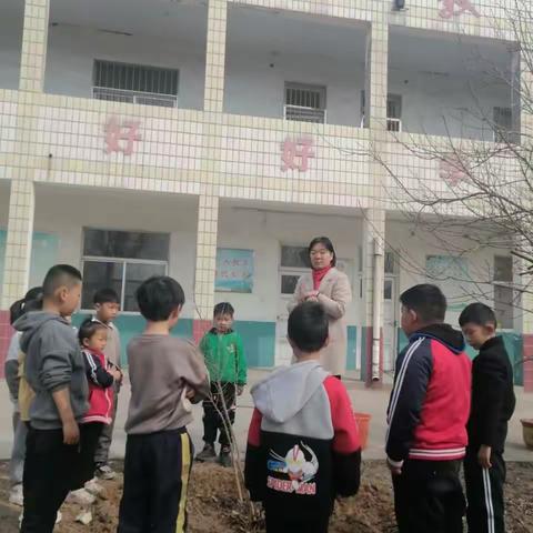 南洼小学举行春季护绿活动