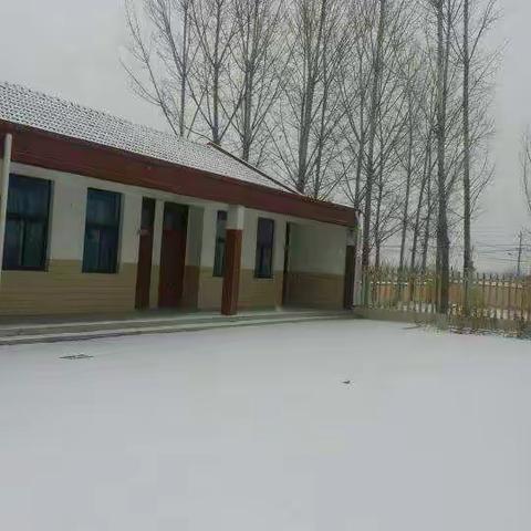 祥瑞降人间，校园披银装____记新春第一场雪