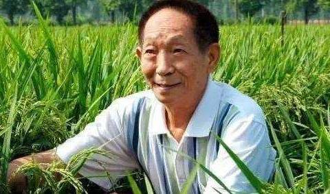 <龙山.少先队>"禾下乘凉梦，我们来接棒"----龙山学区辛店小学举行缅怀袁隆平爷爷活动