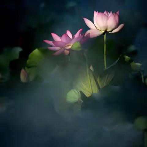 美好就在你的指间