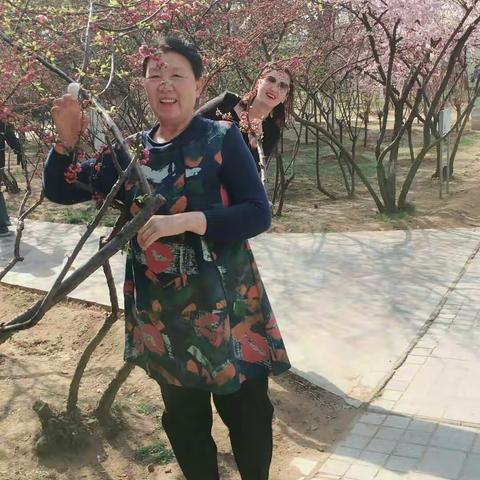 春意盎然 赏花 挖菜