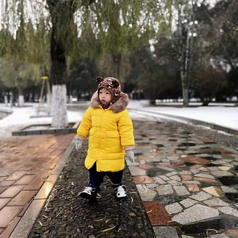 2019.11.30今年的第一场雪