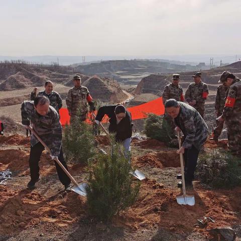 植树添新绿 共绘山川秀