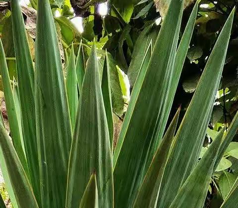 中秋佳节，满满的回忆