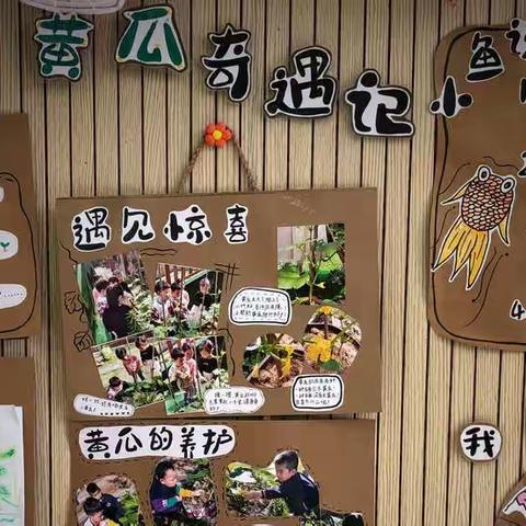 “黄瓜奇遇记”—新安江中心幼儿园清江园区小二班种植记