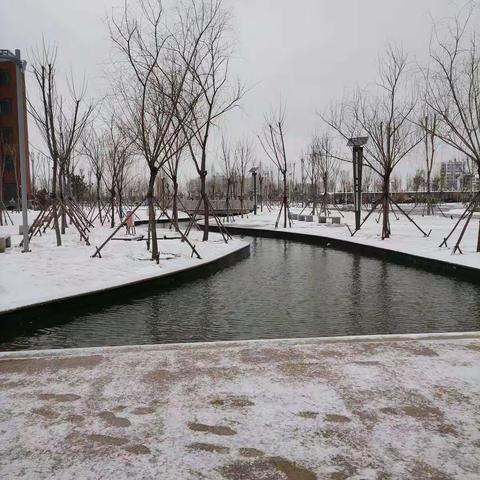 花洒白世界，雪景醉校园