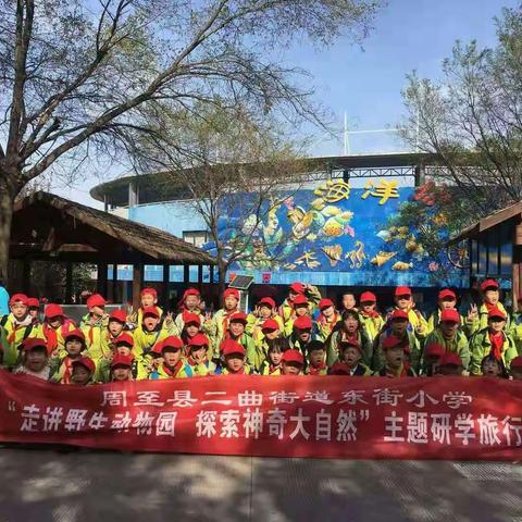 东街小学二十三班