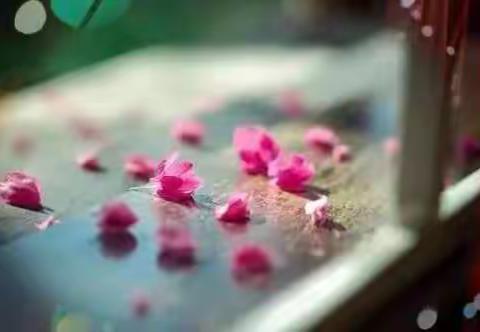 [查小查随笔]留不住的时光，等不到的人