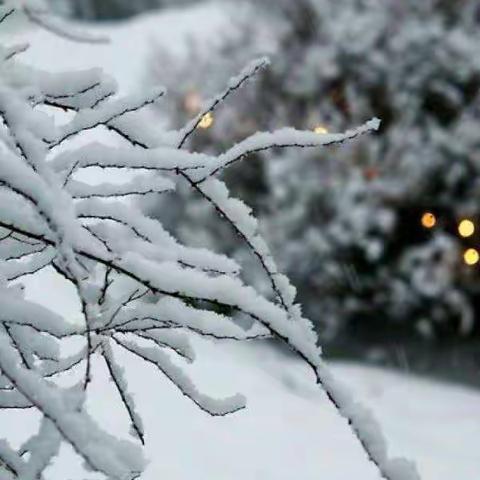 邂逅2020第一场雪🌨️——河幼中三班玩雪记