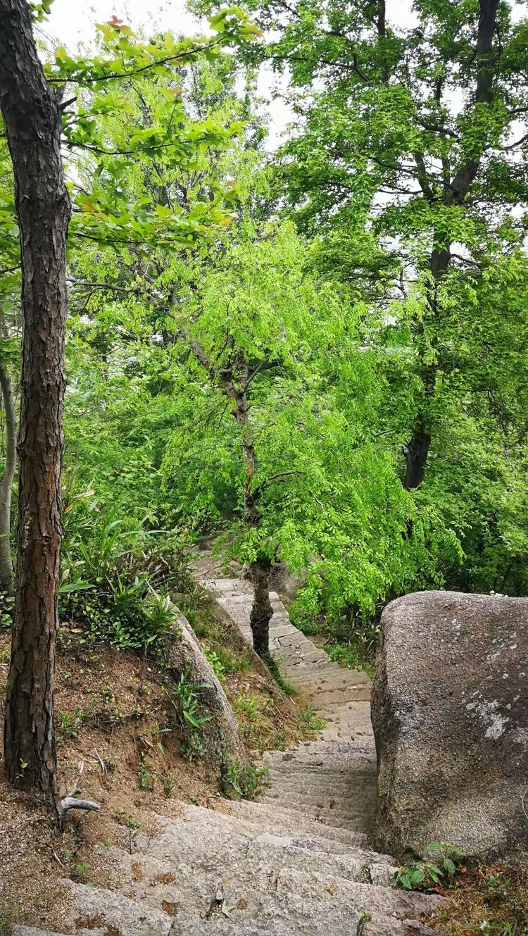 灵山石树景区图片